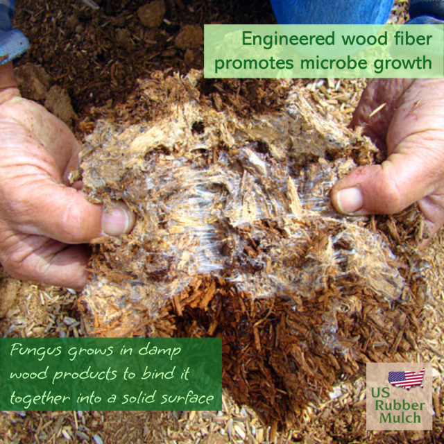 PIP is called the most dangerous playground surface