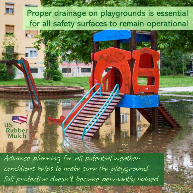 Wood chips attract slime mold that can harm plants