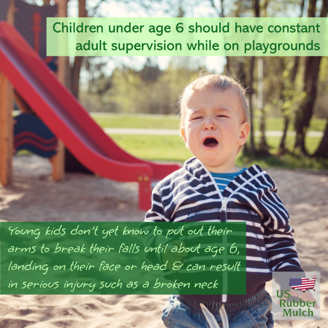 Wood chips attract insect & pests