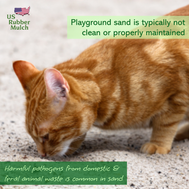 Wood chips attract slime mold that can harm plants